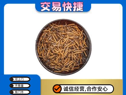 楚雄武定县礼品回收虫草.jpg